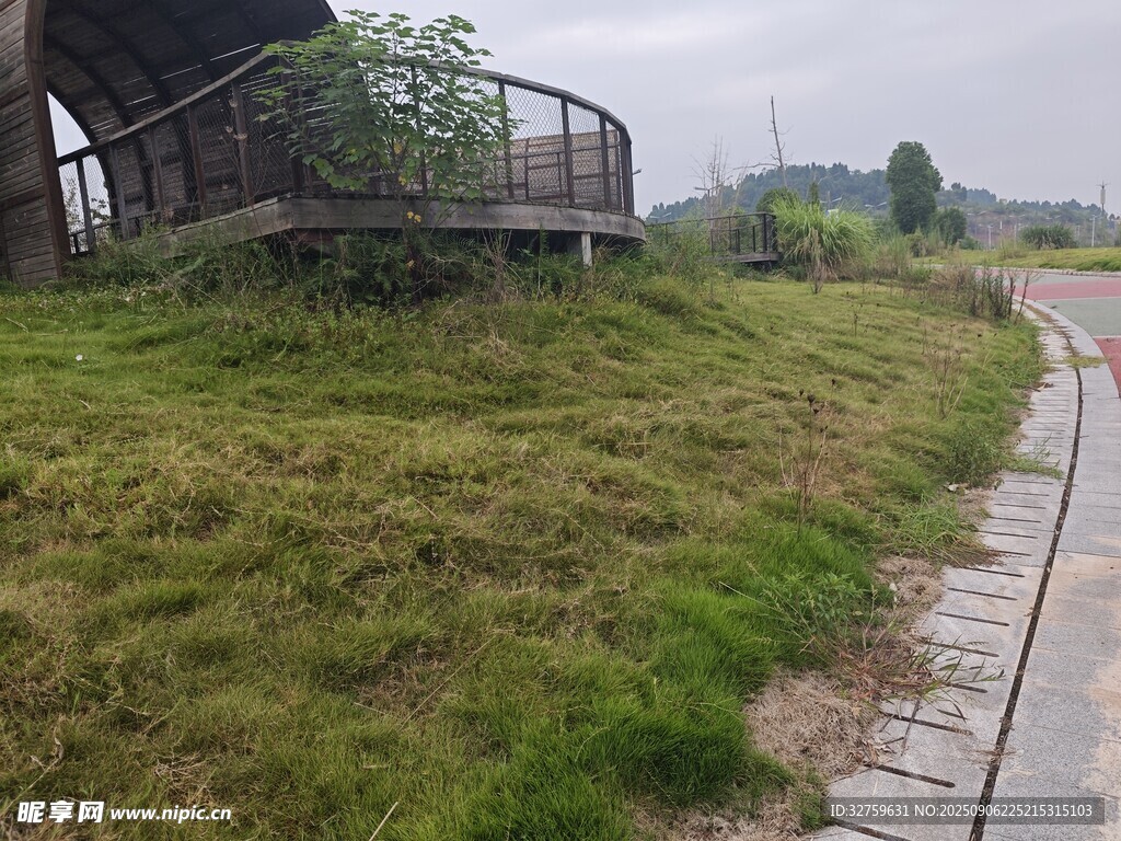 路邊草地與圍欄景觀
