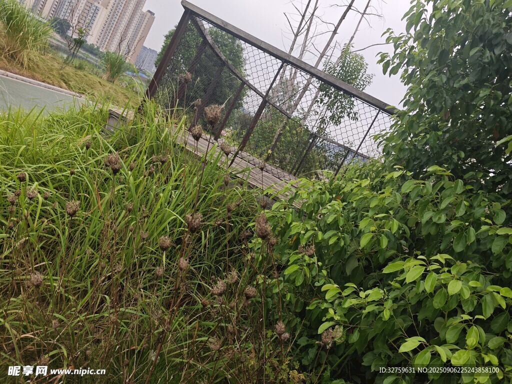 戶外綠植與圍欄景觀