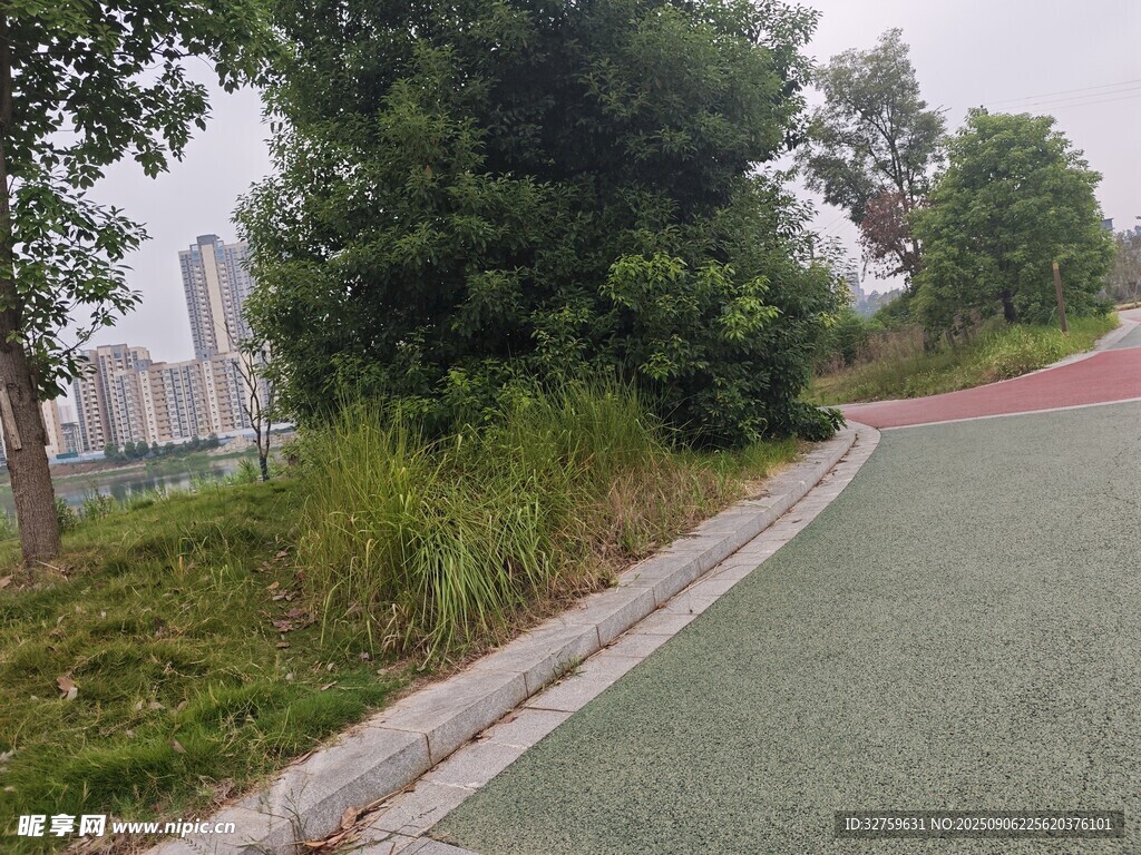 戶外綠色跑道旁的綠植景觀