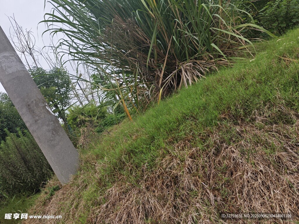戶外草地旁的金屬標識物