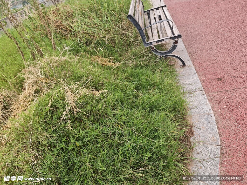路邊長(zhǎng)椅旁的茂盛綠草