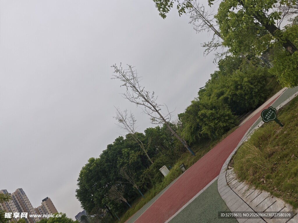 戶外紅色步道與綠樹景觀
