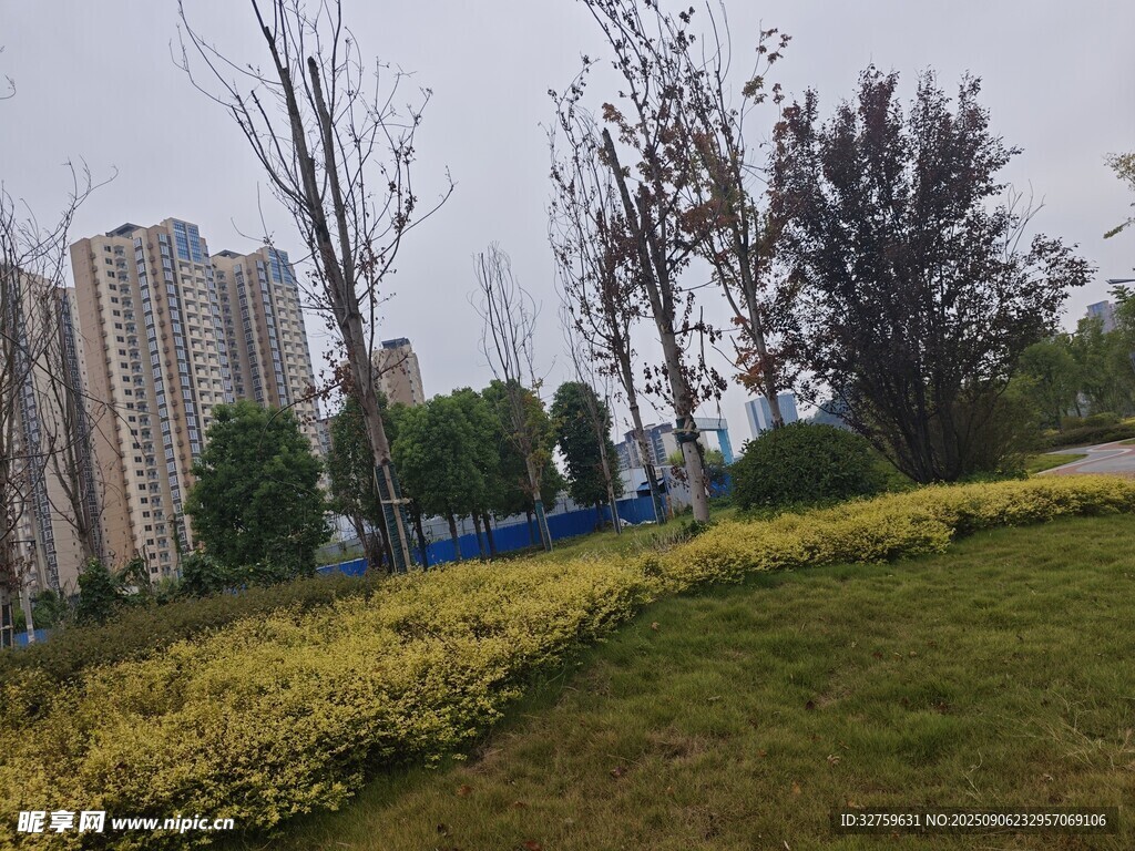 城市中的綠地與樹木景觀