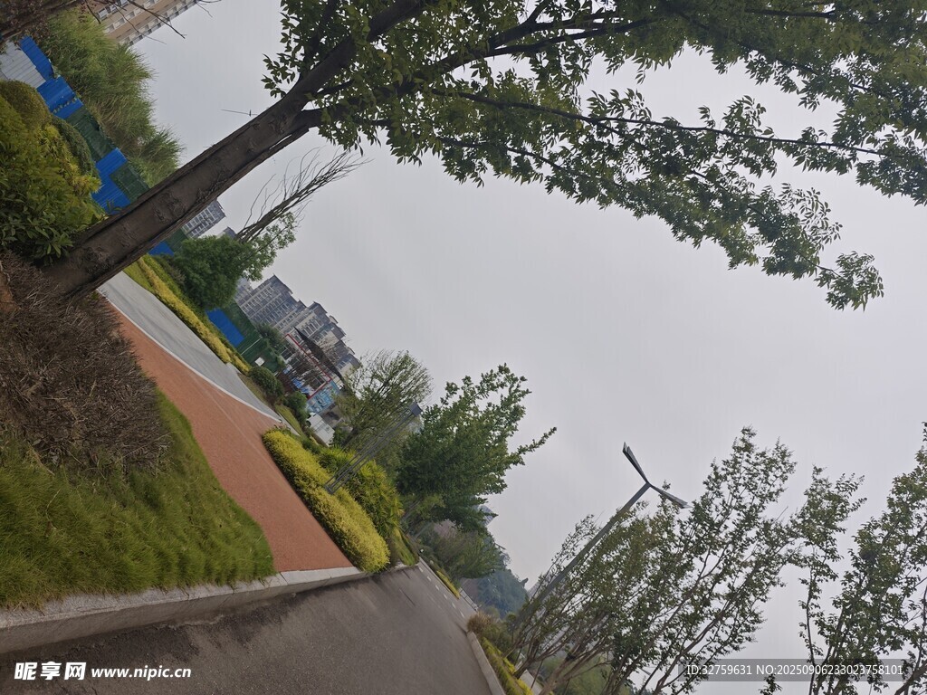戶外綠樹(shù)成蔭的道路景觀