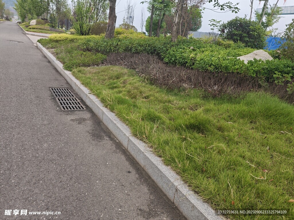 路邊綠化帶景觀