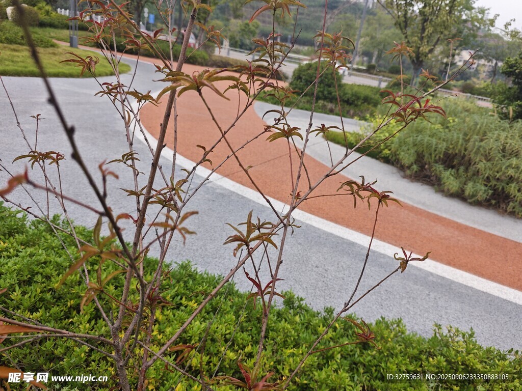 城市中的蜿蜒彩色健身步道