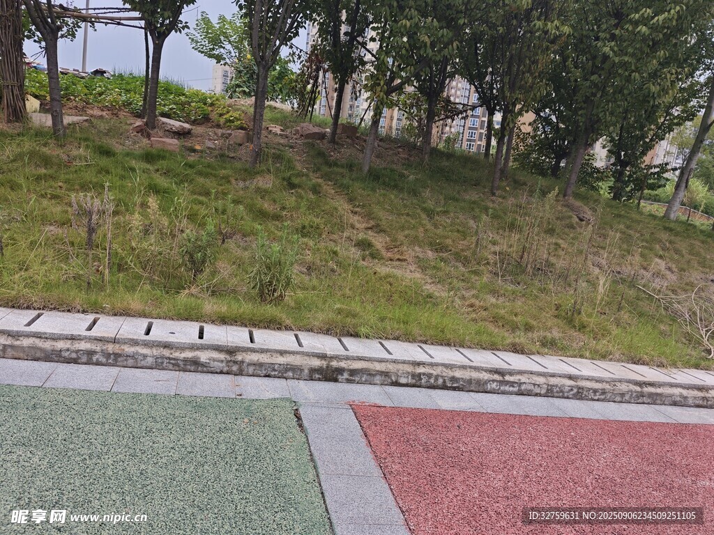 戶外多彩步道旁綠植景觀
