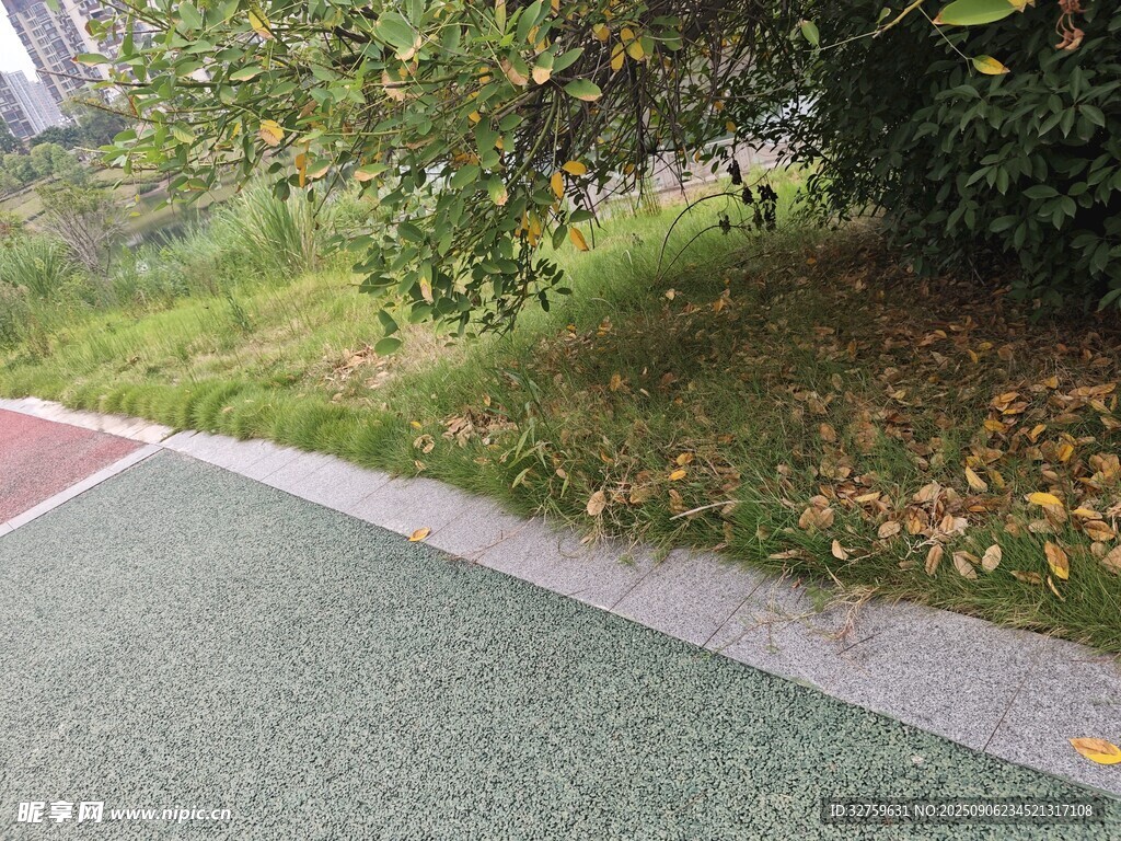 戶外彩色步道與綠植景觀