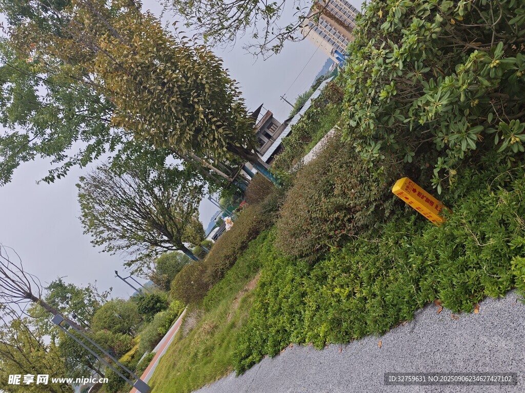 戶外綠植旁的黃色物件