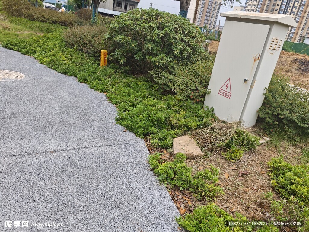 路邊配電箱旁的綠植景觀