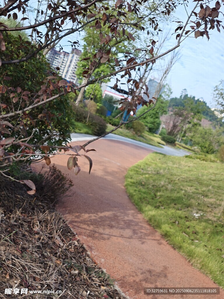 公園小徑上的悠閑騎行