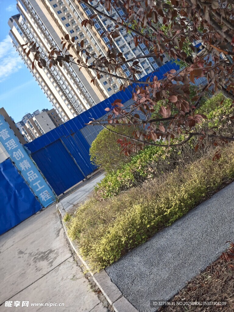 城市街邊綠植與建筑景觀