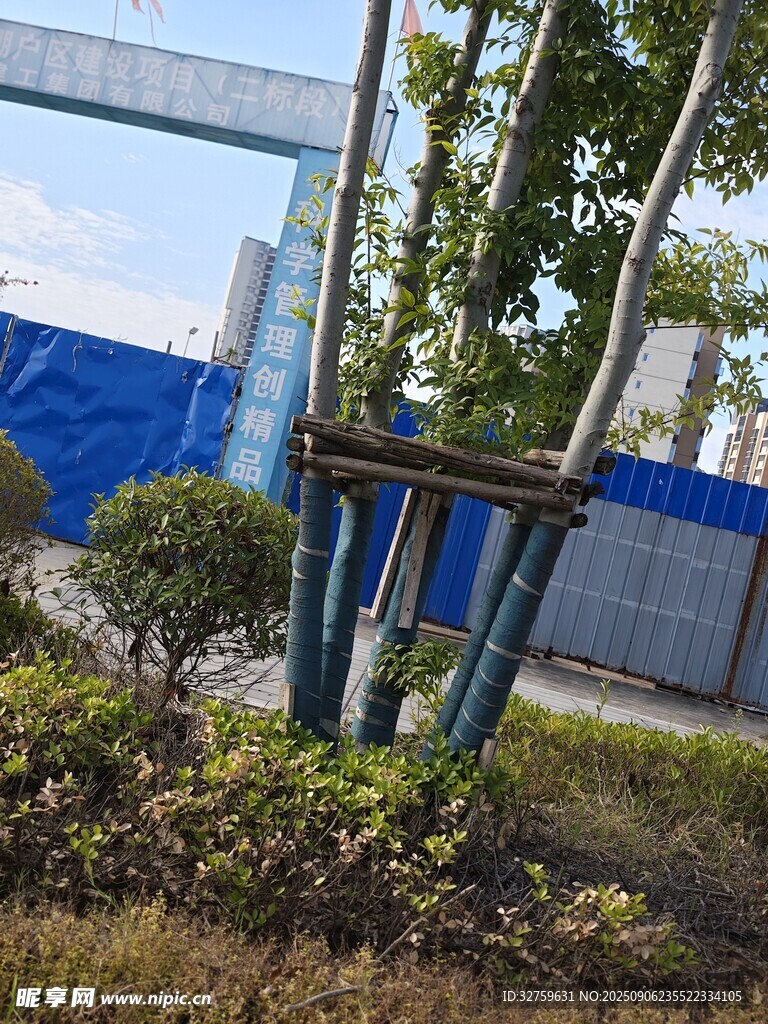 戶外綠植旁的金屬框架結(jié)構(gòu)
