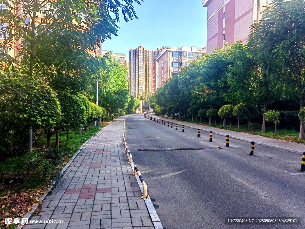 城市林蔭街道靜謐風(fēng)光