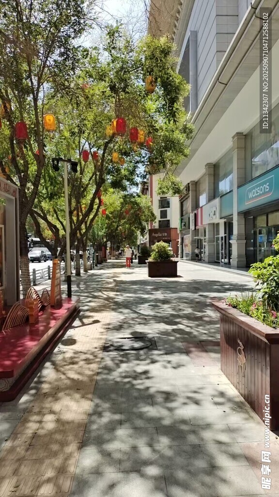 城市街道旁的綠植景觀