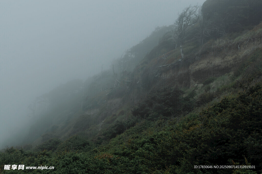 山間迷霧繚繞的翠綠山坡