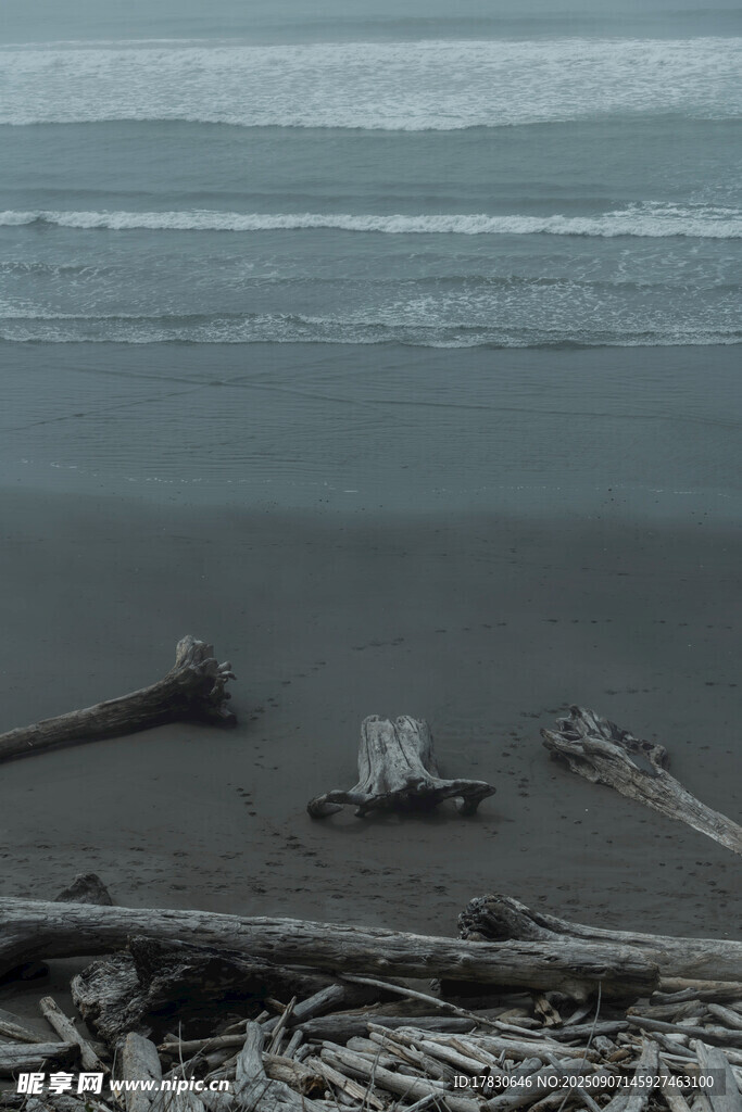 海灘上的漂流木與海浪