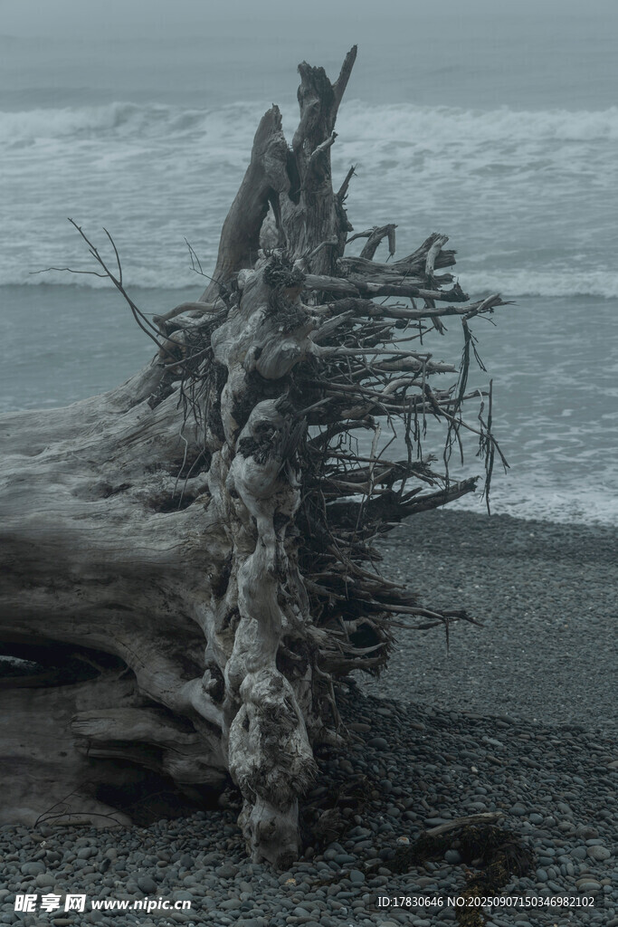 死亡海濱