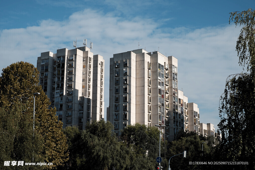 城市高樓與蔥郁樹木景觀