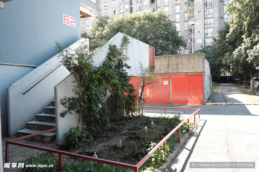 城市角落的綠植與建筑