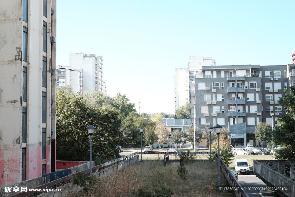 城市街道旁的建筑與綠植