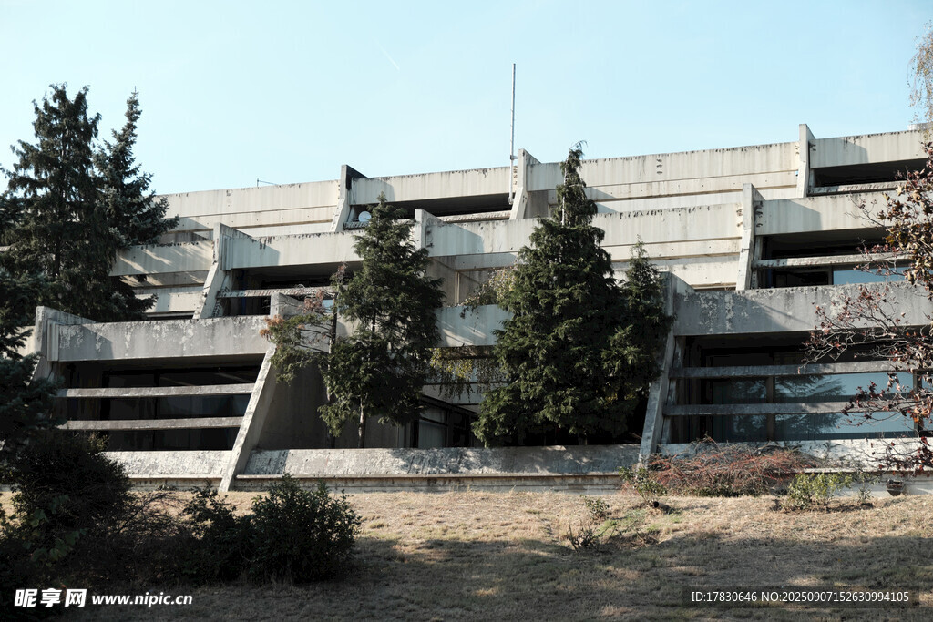 老舊建筑旁的樹木與灌木