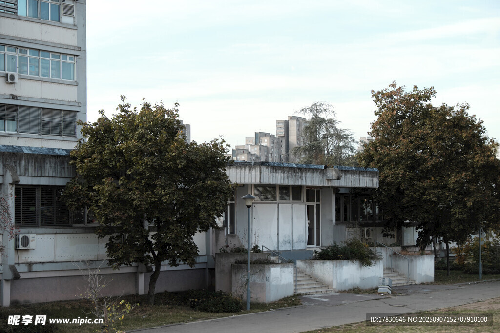老舊建筑旁的綠樹景觀