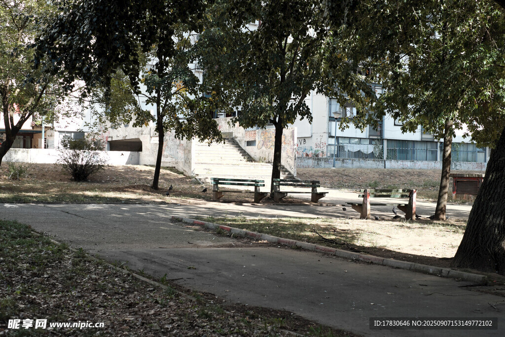 公園林蔭下的休閑場景