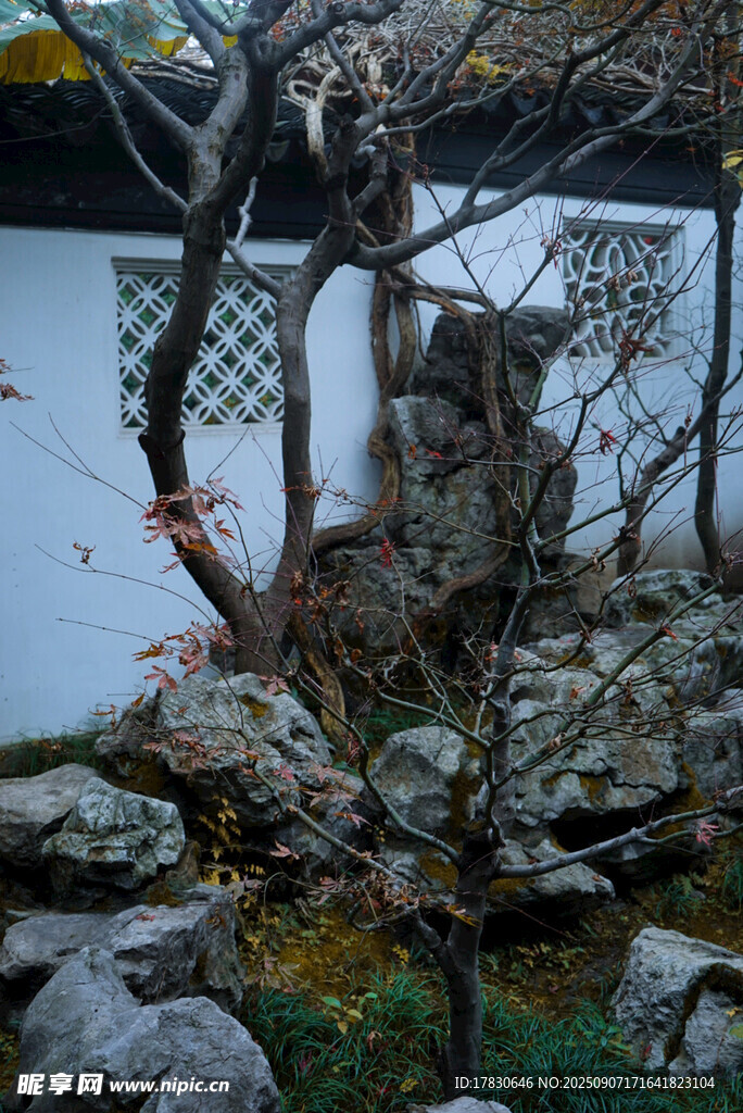 蘇州園林自然植物風(fēng)景