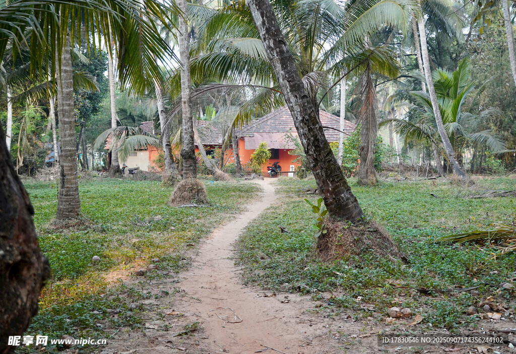 椰林小徑通往溫馨小屋