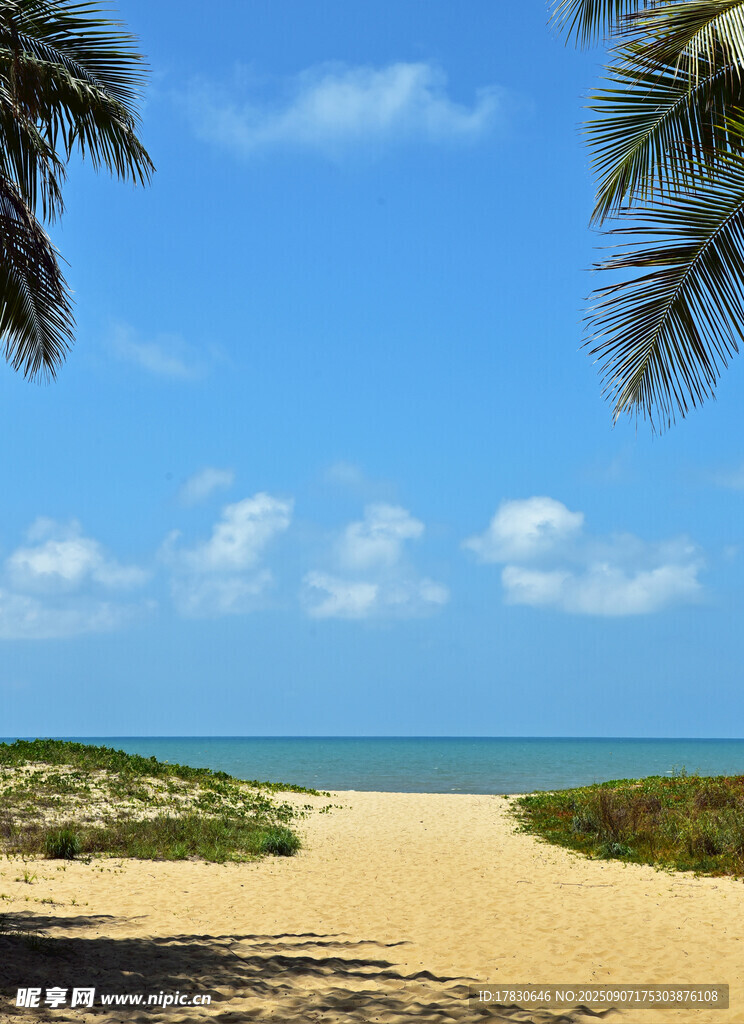 熱帶沙灘海岸美景