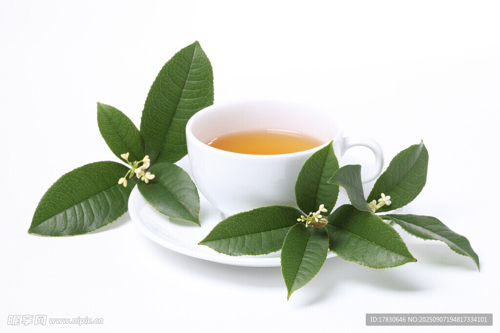 綠葉環(huán)繞的清新茶杯