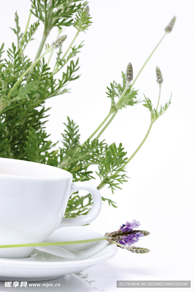 白色茶杯旁的清新綠植