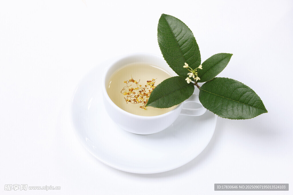 一杯清香綠茶配翠綠枝葉