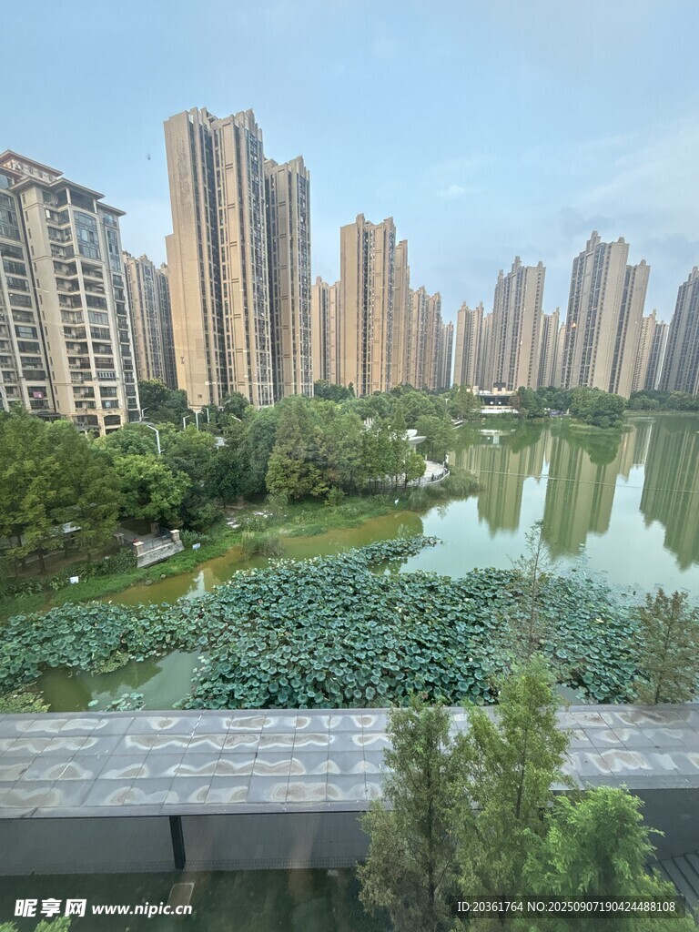 城市湖畔美景