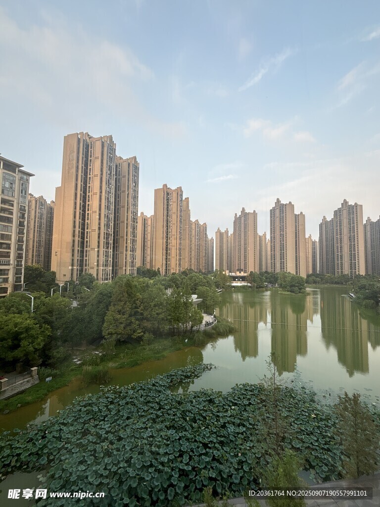 城市河畔高樓景觀