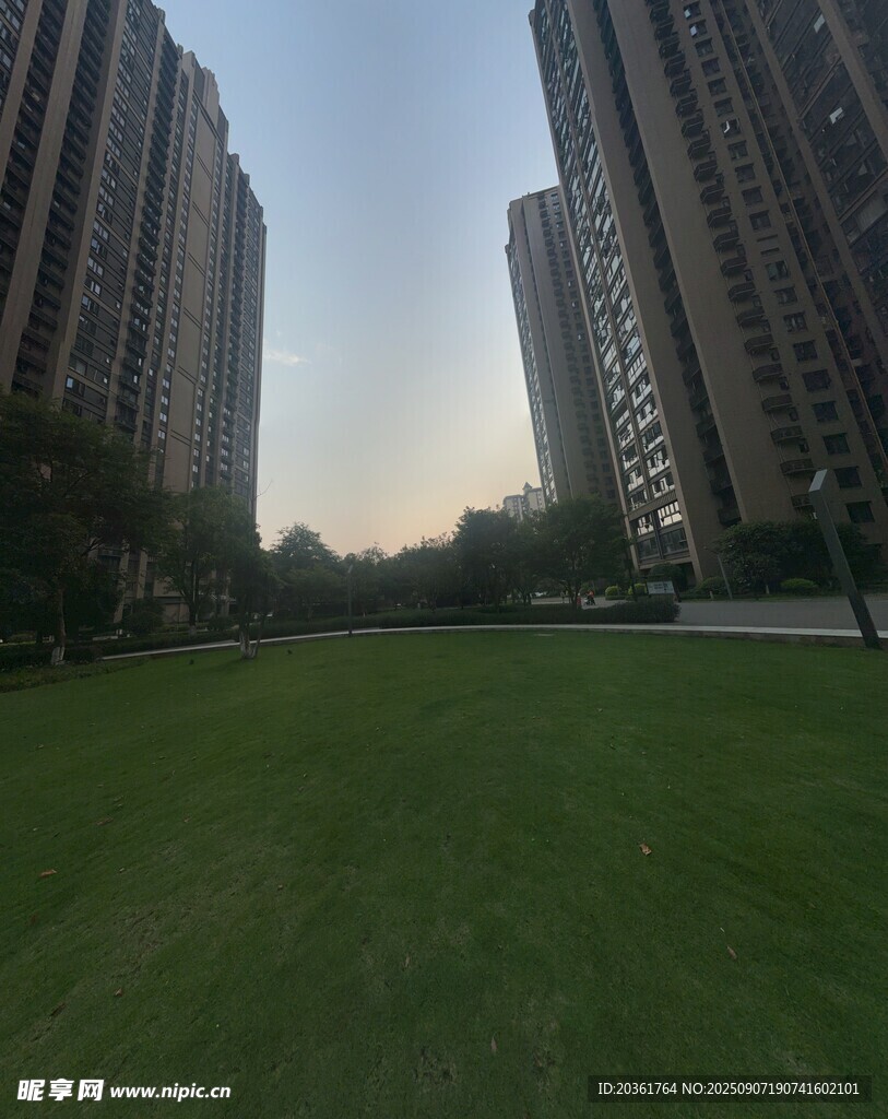 城市中的開闊綠草地