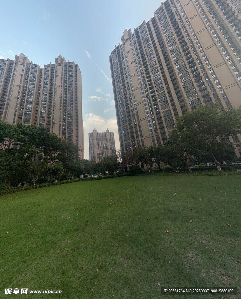 城市草坪旁的高樓景觀
