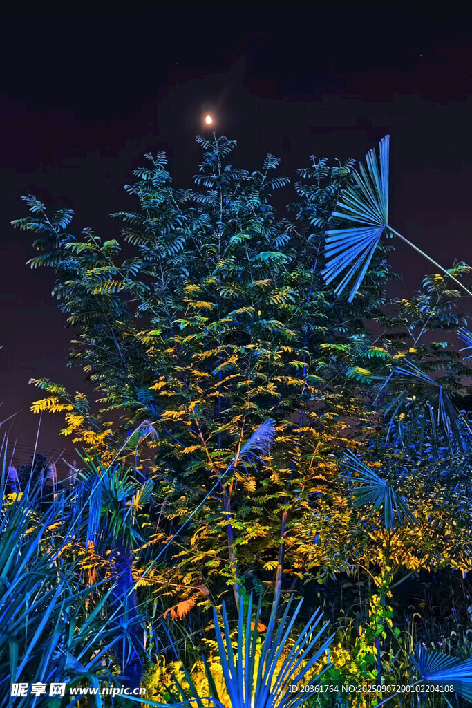 夜下夢(mèng)幻植物景觀