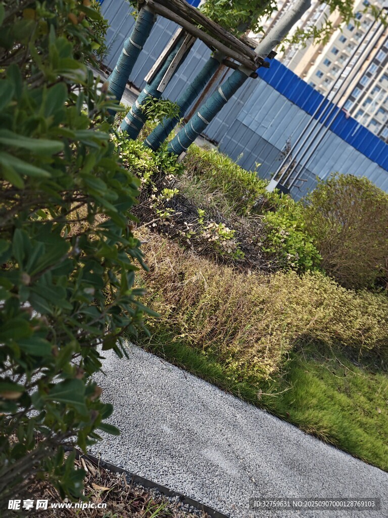 戶外綠植環(huán)繞的休閑小徑