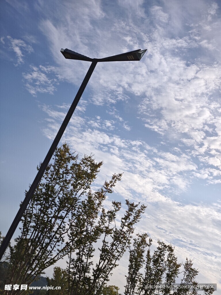 藍天之下的路燈與樹梢