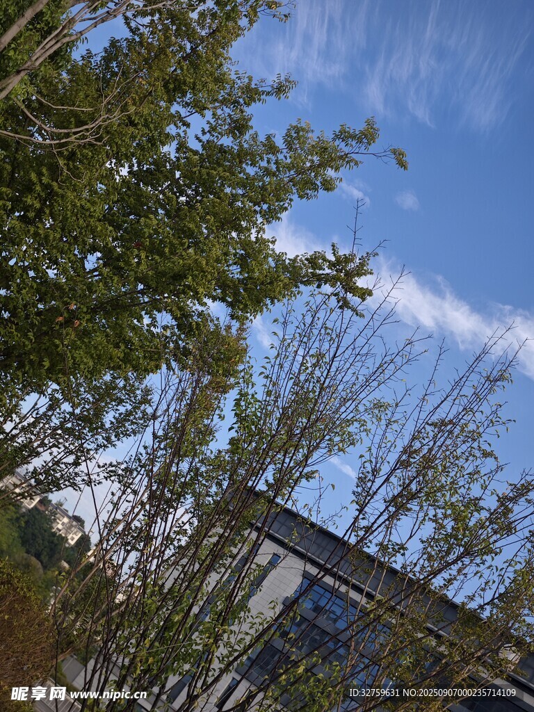 藍(lán)天綠樹旁的建筑一角