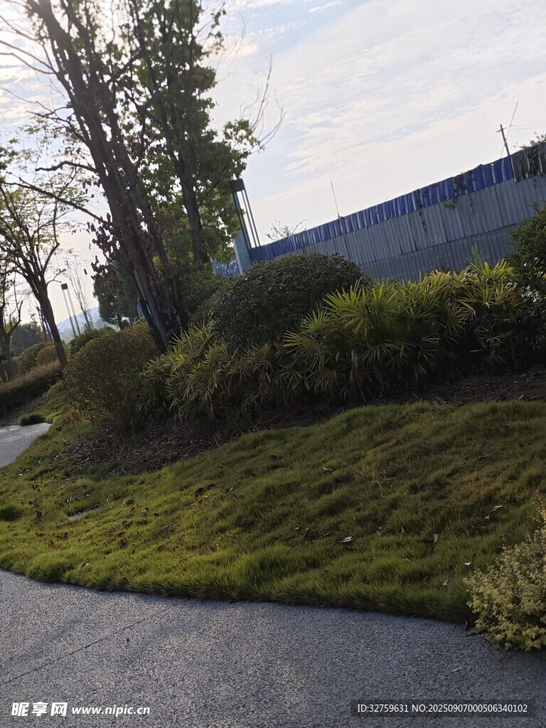 路邊綠意盎然的植被景觀
