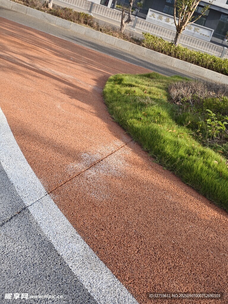 城市道路旁的綠植景觀