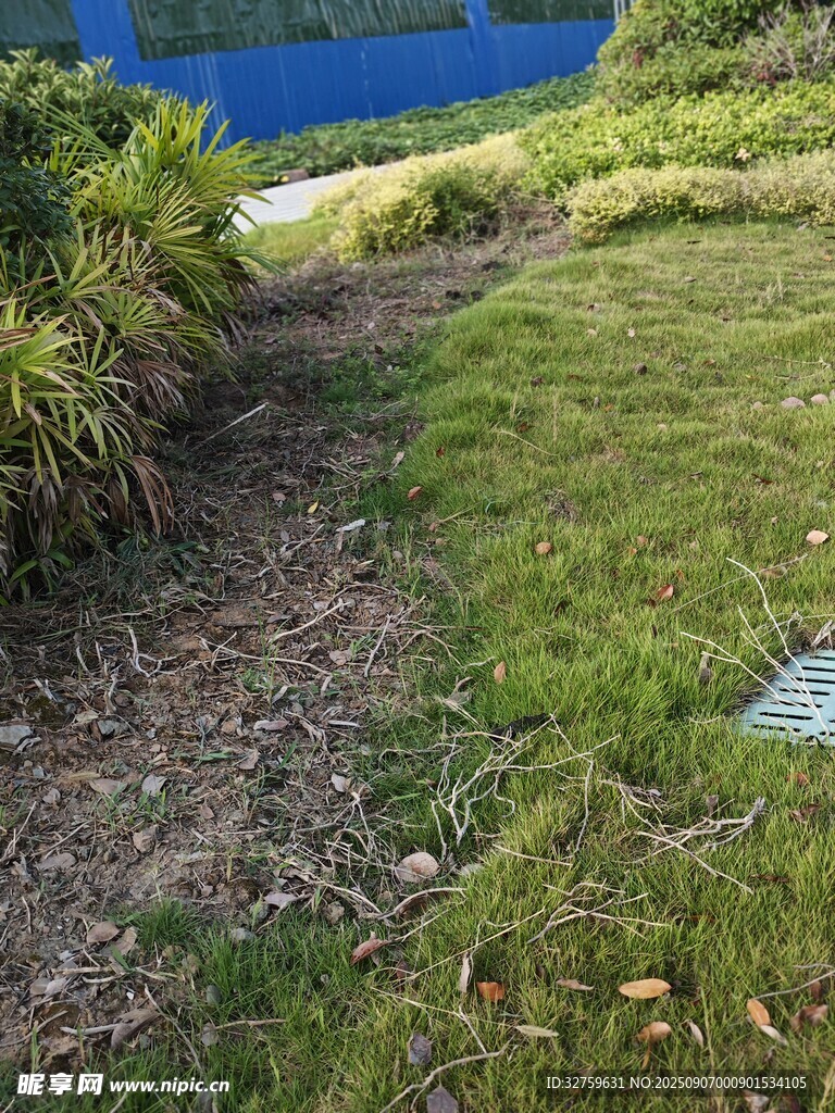 山間草地小徑景色