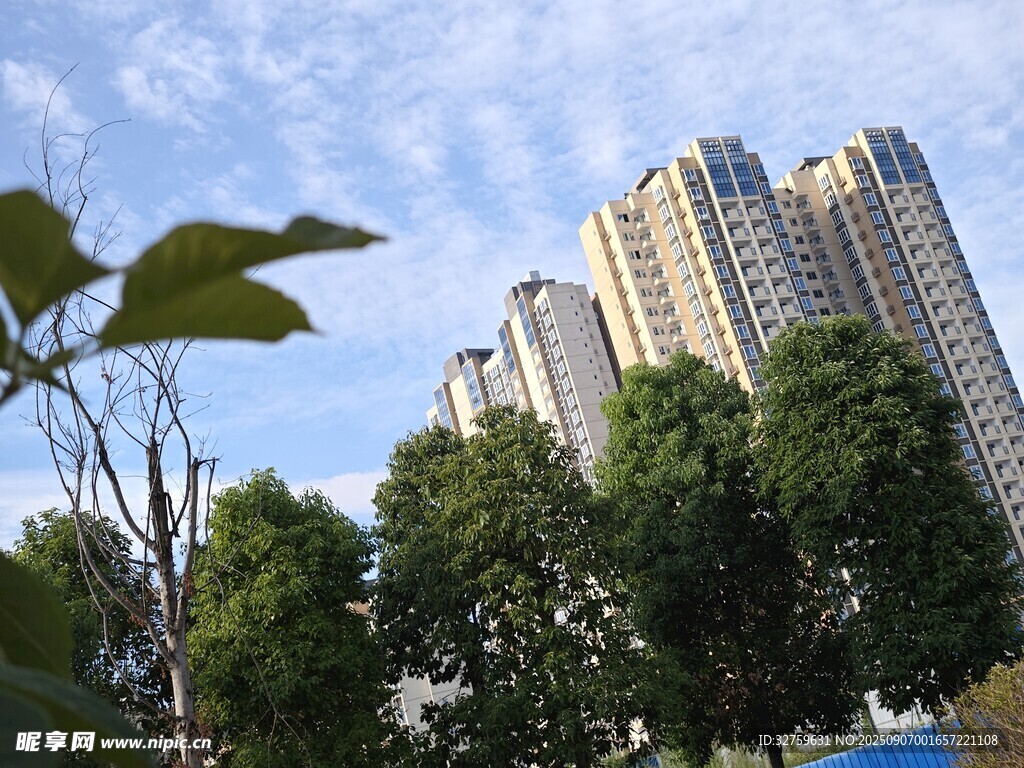 城市高樓與綠樹相映成趣