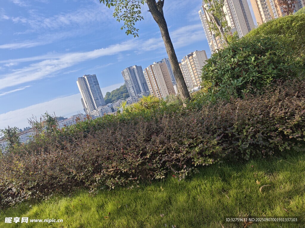 城市綠地旁的高樓景觀