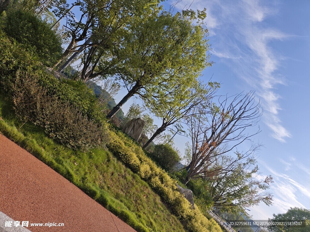 城市公園的清新風(fēng)景