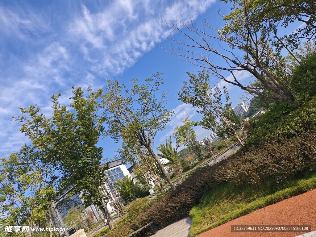 藍(lán)天白云下的綠樹紅道
