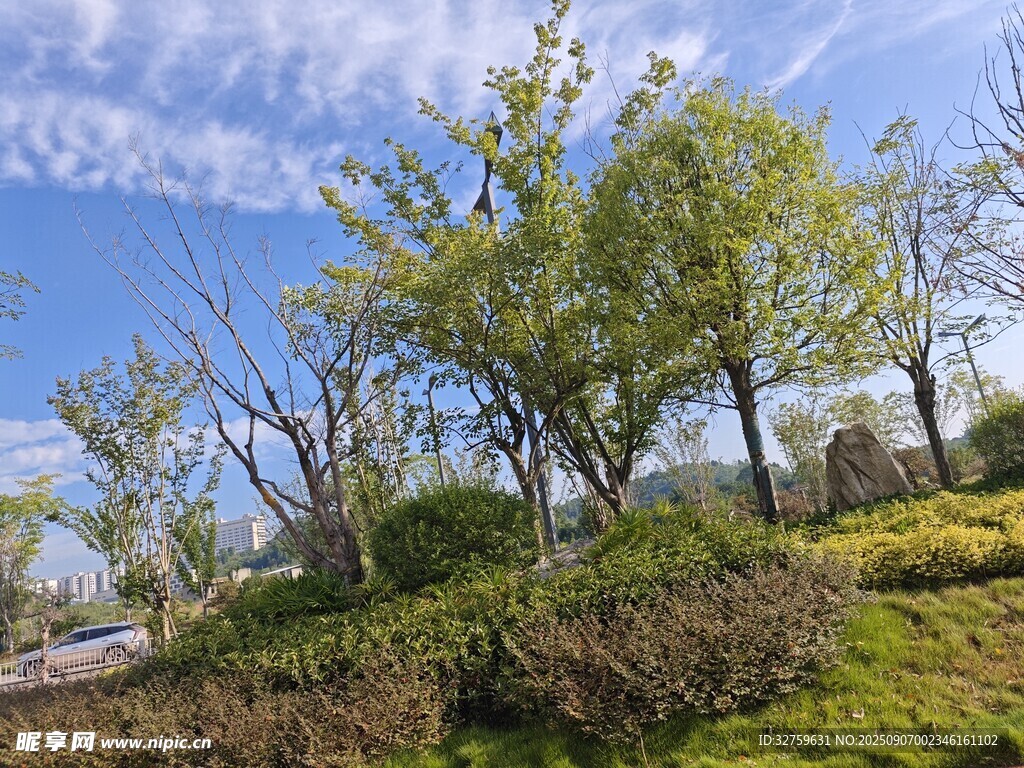 春日綠意盎然的戶外景致